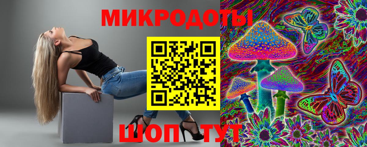 Псилоцибиновые грибы Psilocybe  Вход с VPN  Луховицы 